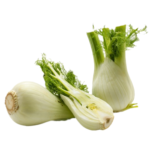 壹香 茴香头500g 球茎茴香根西餐调味料理配菜香料新鲜茴香菜蔬菜
