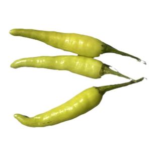 小米辣椒苗秧苗朝天椒种籽小米椒树种子四季盆栽菜广东高产小米辣