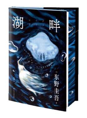 湖畔刷边版东野圭吾作品