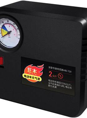 巨木电动车充气泵60v48v72v通用