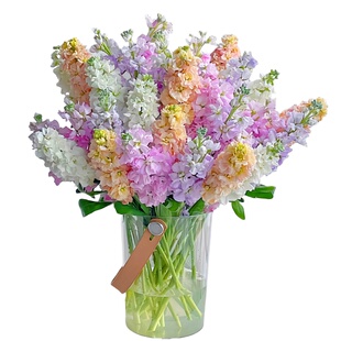 紫罗兰鲜花水培花卉云南基地直发花束香雪兰玫瑰花百合花家用插花