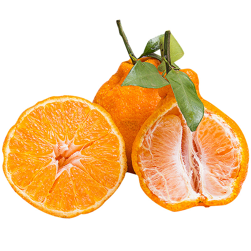 四川不知火丑橘10斤新鲜水果当季甜丑八怪柑桔子耙耙橘子整箱包邮