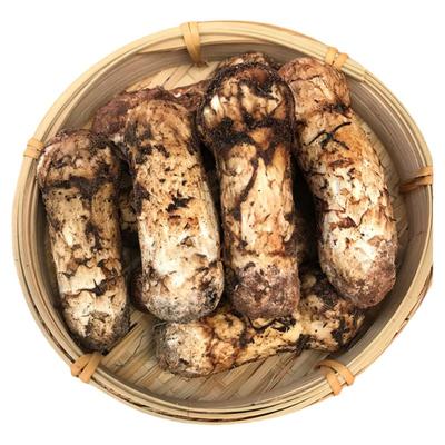 24年香格里拉冰冻松茸精选品质