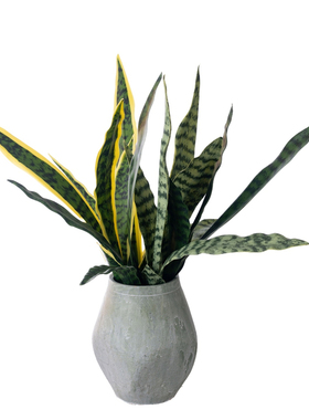 精品仿真绿植虎皮兰假花