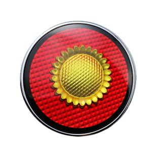 红旗H5HS5H9HS3HS7HQ9H6EQM5向日葵轮毂盖标金葵花原车改装车标贴