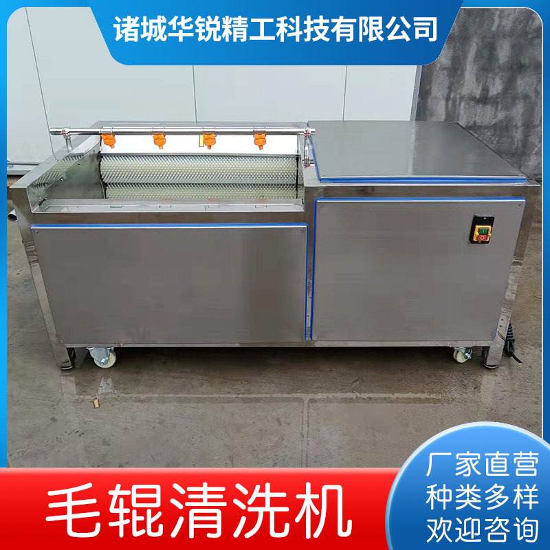 猪头毛辊清洗机海产品清洗去泥沙设备茎类果蔬全自动毛辊清洗机器