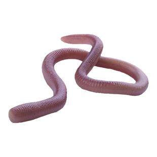 日本OSP蚯蚓软虫MMZ samll路亚软饵弯曲面条虫黑坑鲈鱼路亚假饵