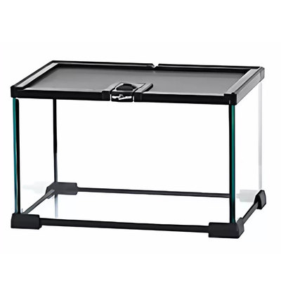 两栖爬宠水陆雨林缸半水龟