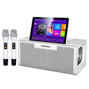 威斯汀户外露营点唱K歌唱歌话筒音响一体带显示屏旗舰店官方正品