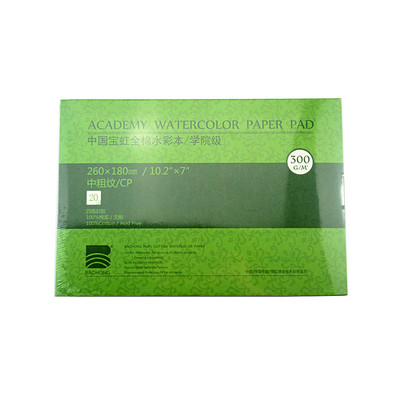 宝虹水彩纸水彩本棉浆纸加厚300g