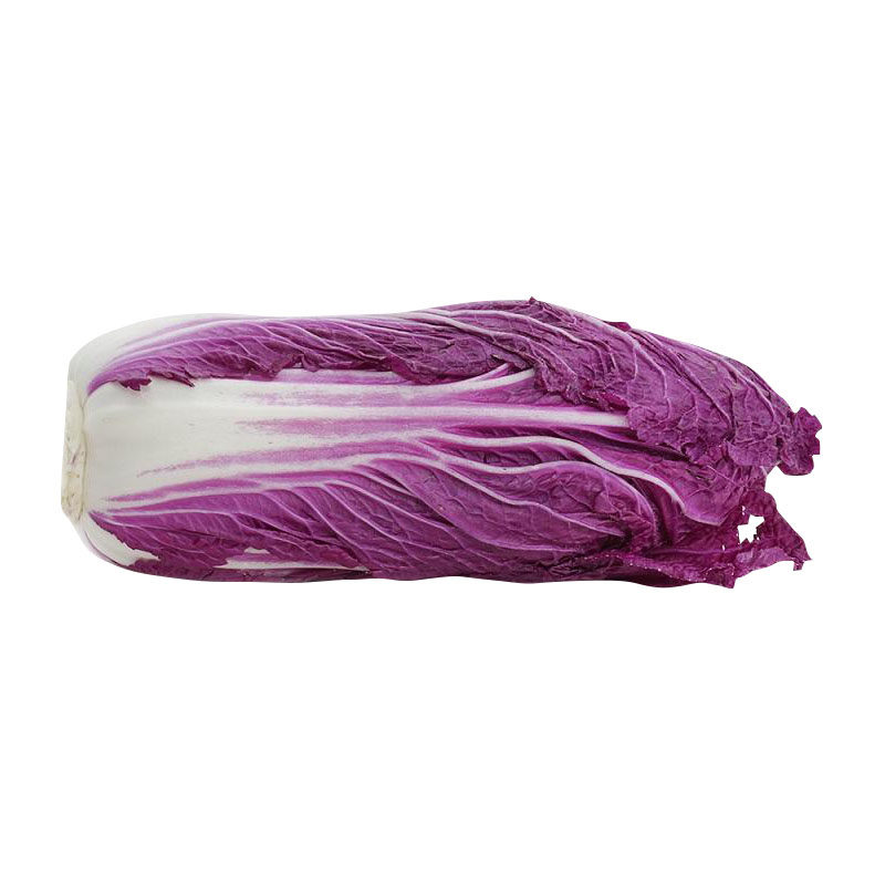 紫白菜种子里外紫色大白菜种籽