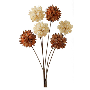 北欧轻奢天然洛神花干花高级感真花花球艺术插花家居客厅装饰摆件