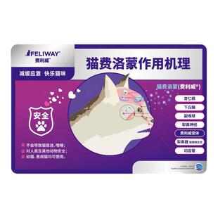 费利威猫用喷雾防应激经典朋友扩散器猫咪情绪舒缓剂费洛蒙猫喷雾