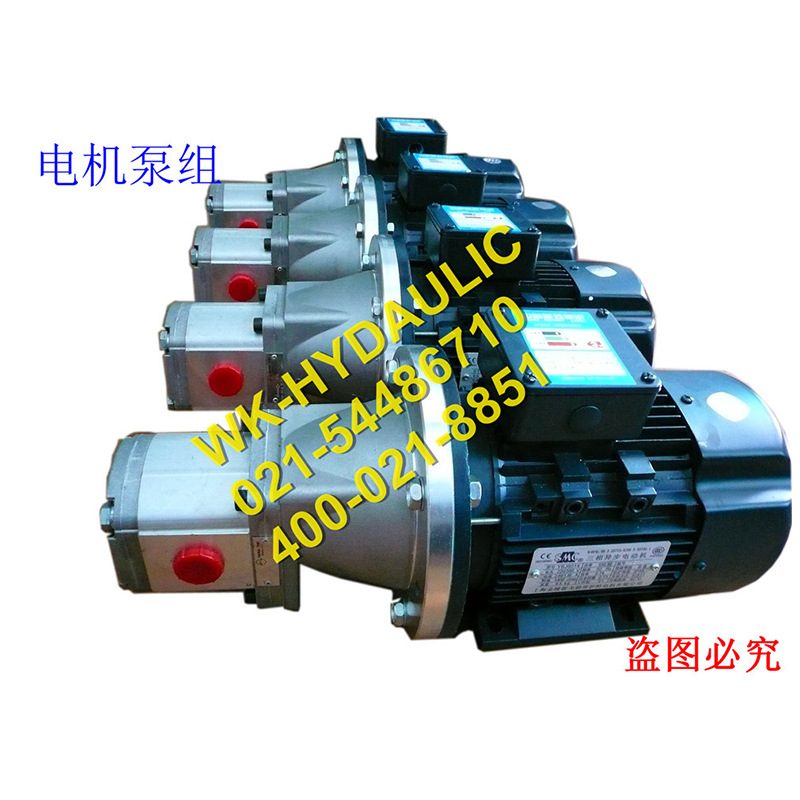 厂家直销WK-Hydraulic 高压WHP2B1-M系列电机齿轮泵组, 270bar