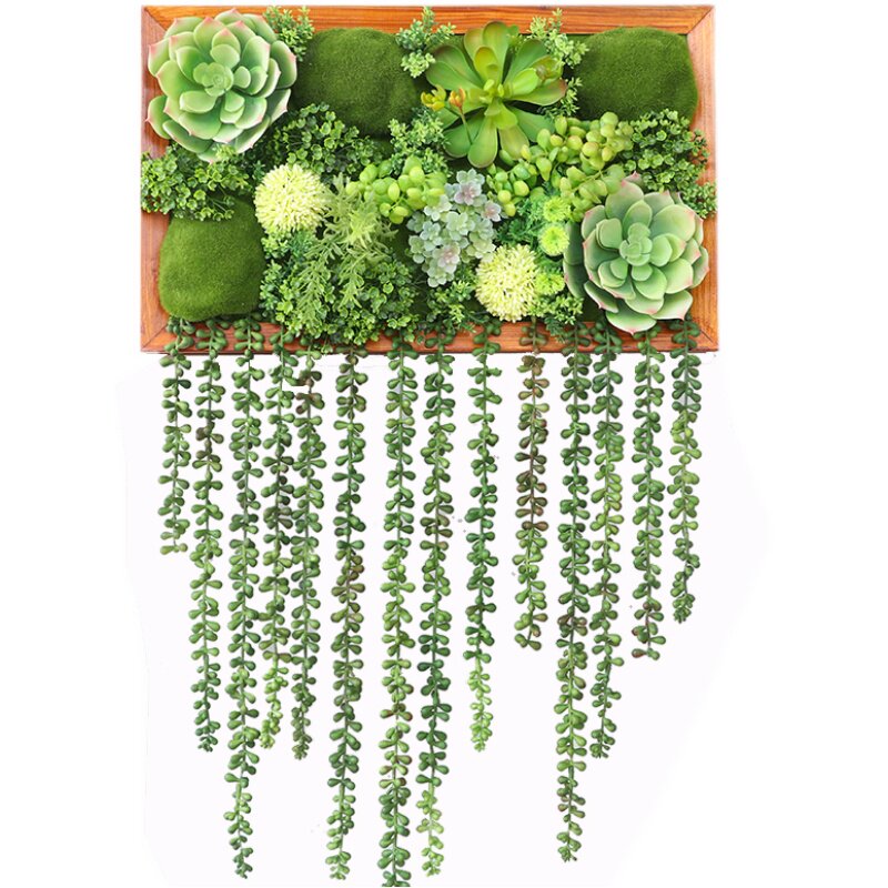 仿真多肉垂挂植物墙上