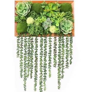 仿真多肉垂挂植物墙上绿植壁挂墙体墙壁餐厅装饰画墙面客厅背景