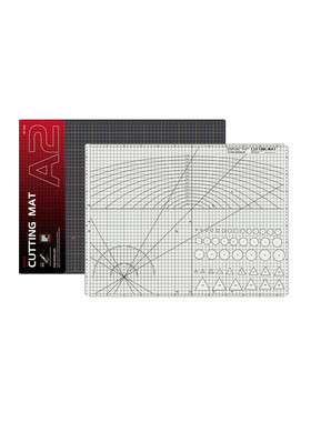 dspiaeat-ca3ca4模型