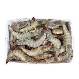 2030单冻盐冻大虾特大厄瓜多尔白虾基围虾海虾鲜活冷冻超大速冻