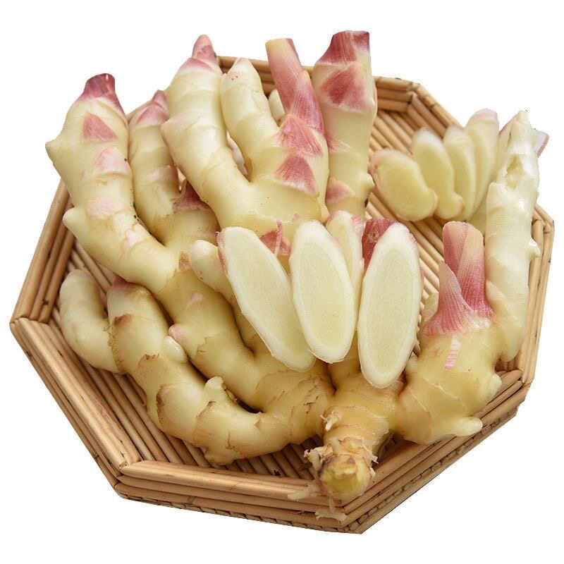 山东红芽嫩姜新鲜大仔姜子姜生姜