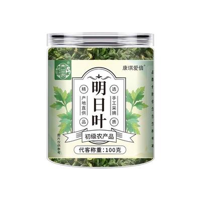 养益君明日叶茶不老草神仙长寿草代用茶新鲜搭中草药材官方旗舰店