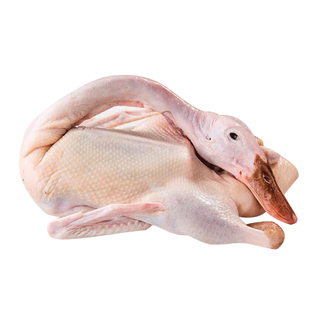 鹅肉新鲜大鹅超大10斤非大白鹅散养大鹅老鹅整只鹅雁鹅瘦肉送料包