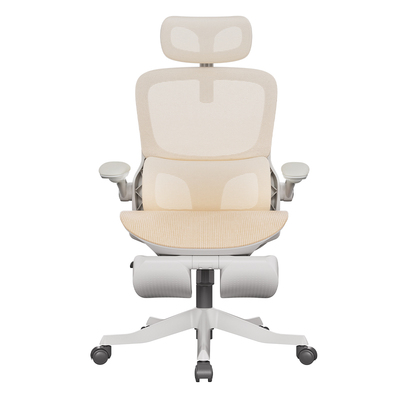 【达人专享】黑白调P2Pro人体工学椅女生电竞椅电脑椅办公椅宿舍