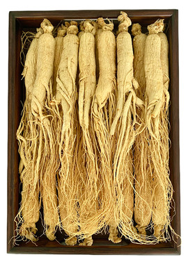 白参长白山人参林下野山生参中药材干人参整支切片泡酒特大生晒参