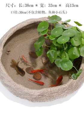 铜钱草仿石头水培水仙花盆