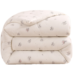 加厚10斤被子冬被丝绵被芯四季款学生宿舍春秋棉被双人家用丝绵被