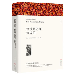【新华文轩】钢铁是怎样练成的 全译本平装版 (苏)奥斯特洛夫斯基 正版书籍小说畅销书 新华书店旗舰店文轩官网 中国文联出版社