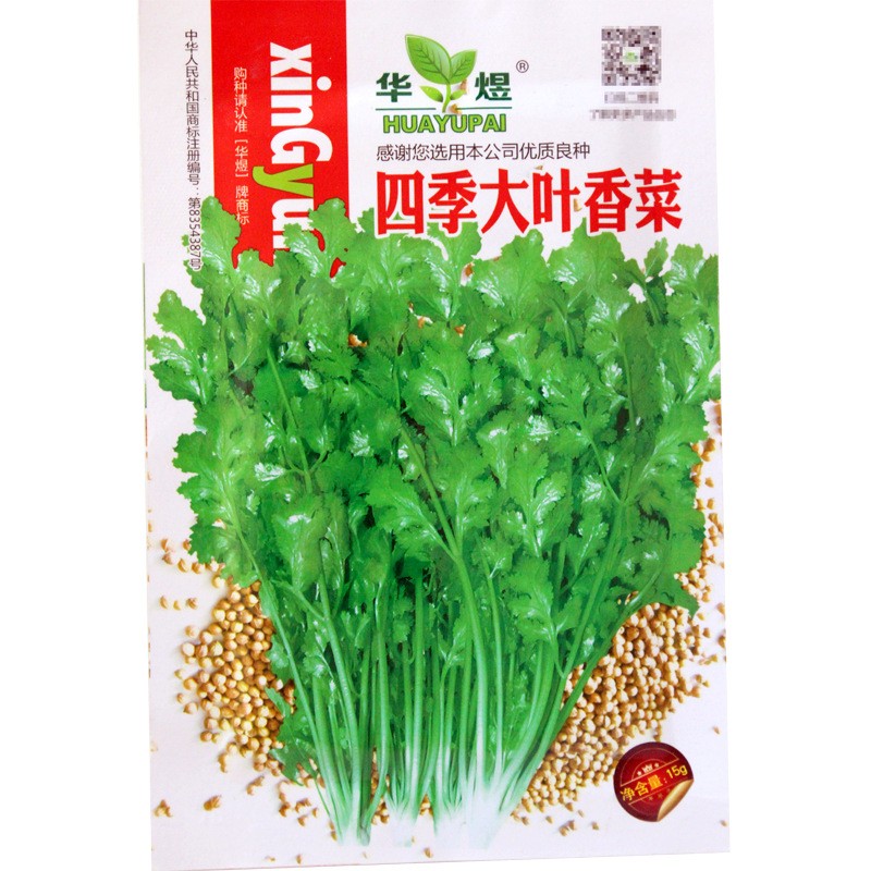 蔬菜种子菜园阳台四季播盆栽菠菜家庭园艺种子