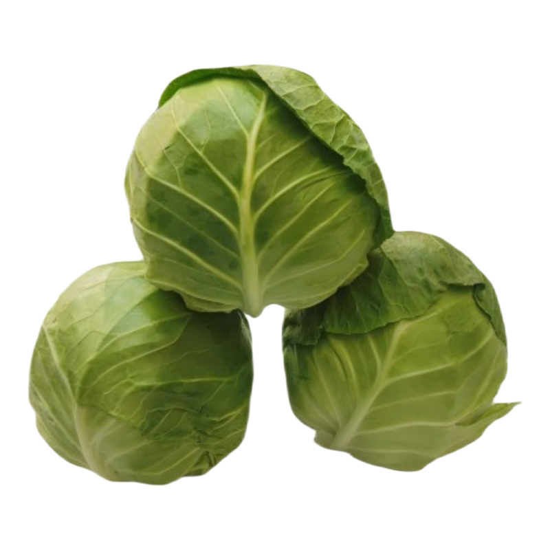 云南省农家自种新鲜蔬菜沙拉包菜卷心菜圆白菜绿甘蓝莲花白包邮