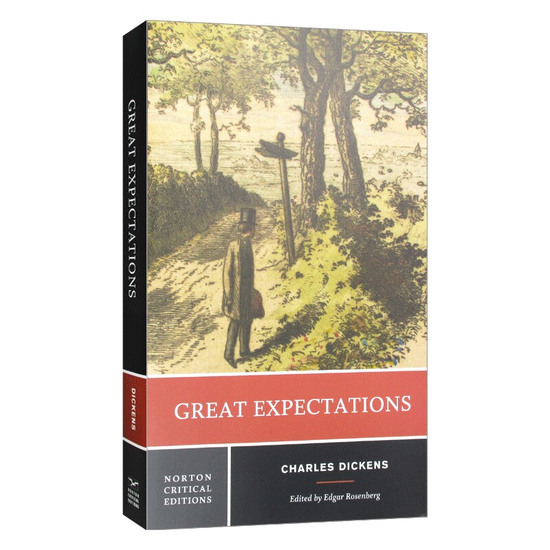 英文原版 Great Expectations Norton Critical Editions 远大前程 狄更斯 诺顿文学解读系列 英文版 进口英语原版书籍