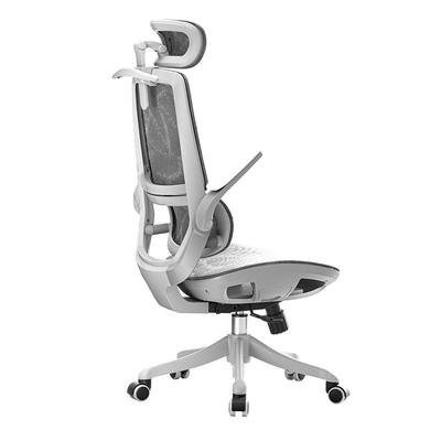 西昊全网撑腰人体工学椅