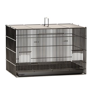 斑鸠鸟笼子斑鸠专用鸟笼养殖笼养斑鸠活鸟家养的笼子超大号繁殖窝