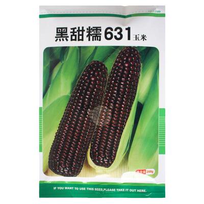 黑甜糯631又甜又糯高产好吃