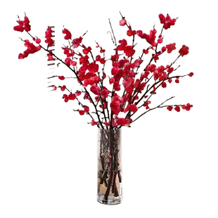 红梅干枝水培植物真花雪柳鲜枝带花苞鲜花卉植物室内桃花支腊梅花