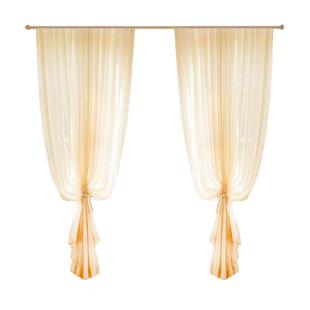 纱帘流光纱2025新款薄纱窗帘纱法式轻奢背景帘卧室客厅金色窗纱布