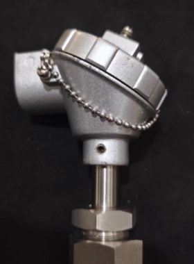 询现货PTR-SDP  600C Pt100 温度感测器（请询价）
