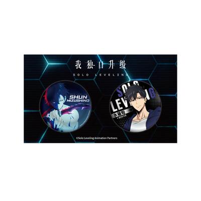 我独自升级反光徽章套装