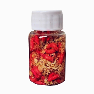 钓鱼活蛆大号红蛆虫活体公鱼米粒白蛆活虫钓溪石斑白条鲜活鲫鱼饵