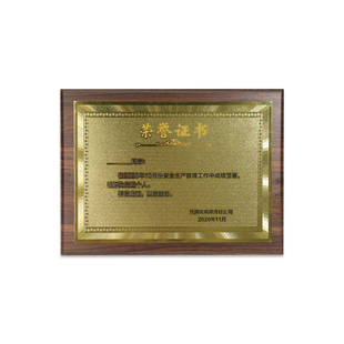 奖牌定制定做授权牌木质牌匾金箔奖牌荣誉牌证书颁奖木托铜牌制作