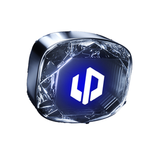 零跑C10/C11/C16/B01/B10行车记录仪C01专用U盘优盘哨兵模式Lafa5