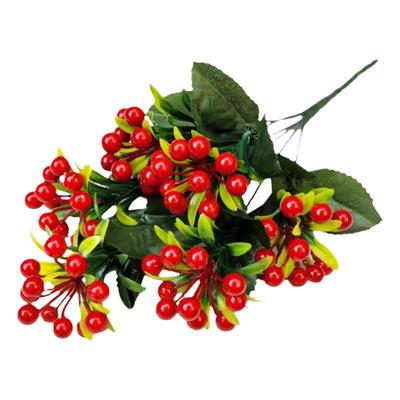 发财果幸运果浆果冬青相思豆红色