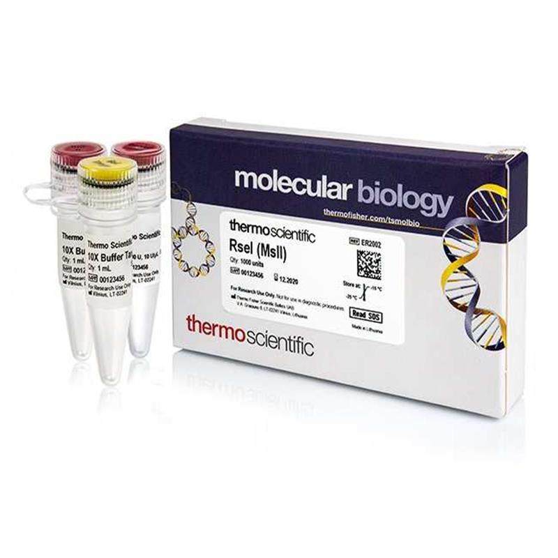 NotI (10 UµL) thermofisher上海生物网 内切酶