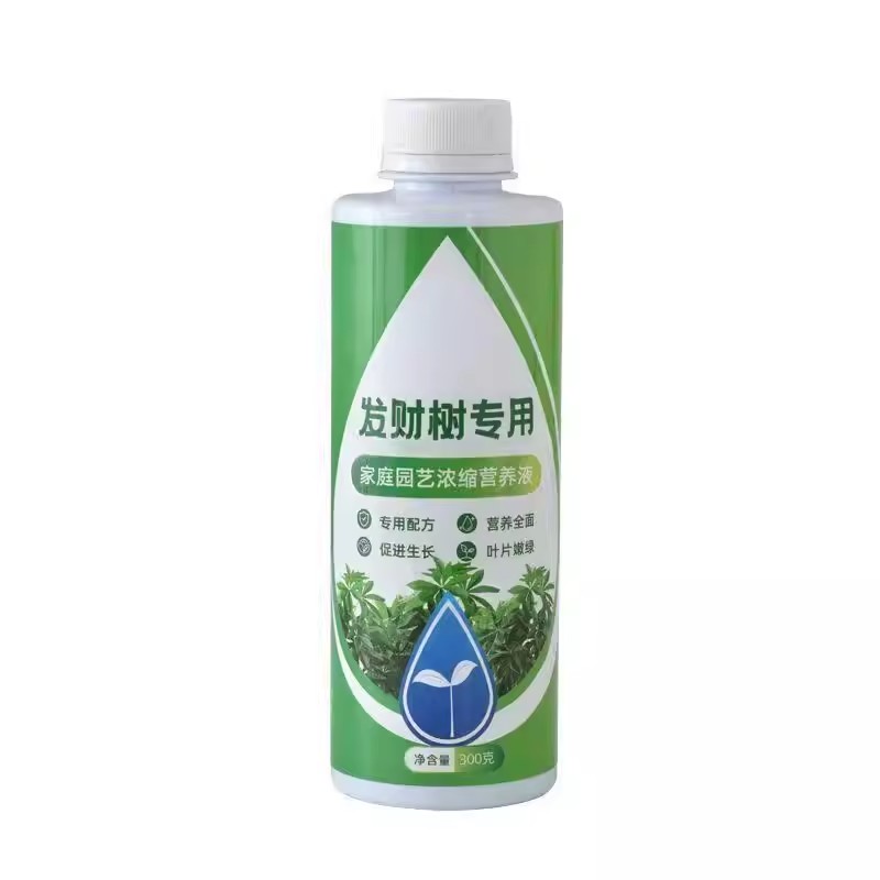发财树专用营养液水培盆栽通用