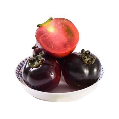 黑番茄的种子种苗秧苗黑紫小番茄黑珍珠大西红柿种孑圣女果籽盆栽