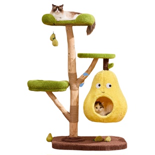 喵想树无鸭梨猫爬架猫窝猫树一体实木树干剑麻猫玩具四季通用