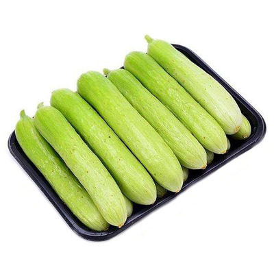 蔬菜食用白色高产水果黄瓜种子