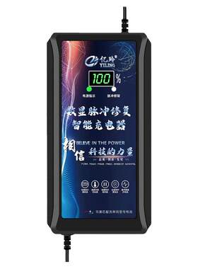 亿玲适用东威电动车充电器铅酸